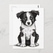 Border Collie Sheepdog Australian Shephard Puppy Briefkaart (Voorkant / Achterkant)