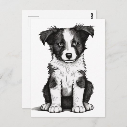 Border Collie Sheepdog Australian Shephard Puppy Briefkaart (Voorkant / Achterkant)