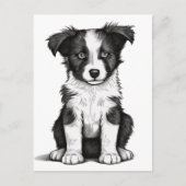 Border Collie Sheepdog Australian Shephard Puppy Briefkaart (Voorkant)