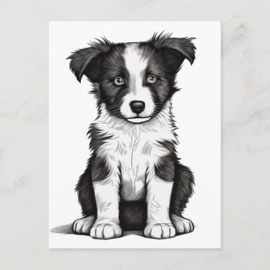 Border Collie Sheepdog Australian Shephard Puppy Briefkaart (Voorkant)