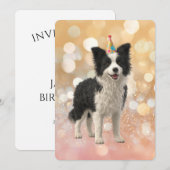 Border Collie Sheepdog Kaart (Voorkant / Achterkant)