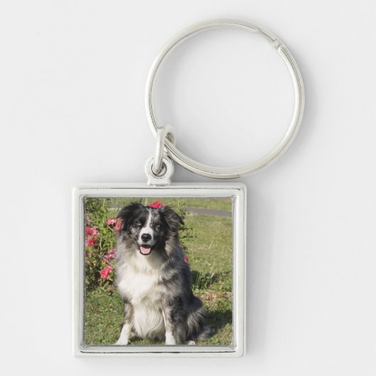 Border Collie Sleutelhanger (Voorkant)