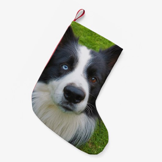 Border Collie Small Kerststop Kleine Kerstsok (Voorkant (Hangend))