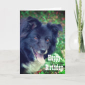 Border Collie Smiling Cute Birthday Kaart (Voorkant)
