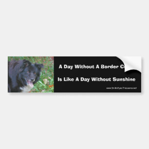 Border Collie Smiling Cute Dog Bumpersticker