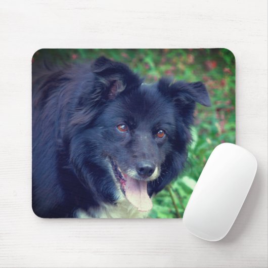 Border Collie Smiling Muismat (Met muis)