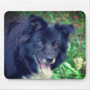 Border Collie Smiling Muismat