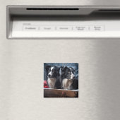 Border Collie Sneeuw Slede Kerst Decoratie Magneet (Insitu (Vaatwasser))