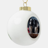 Border Collie Sneeuw slee Kerstmis decoratie  (Links)