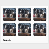Border Collie Snowy Sleigh Kerst Decor Vierkante Sticker (Vel)