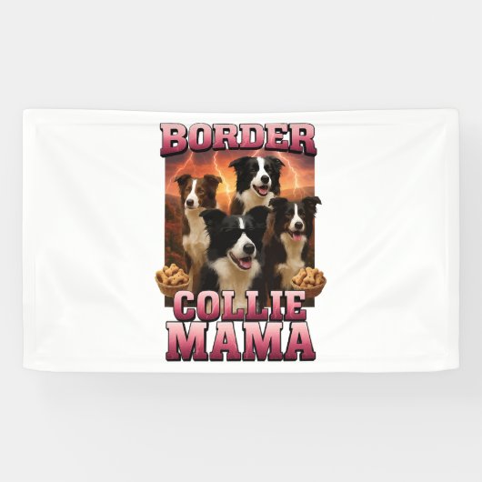 Border Collie   Spandoek (Horizontaal)