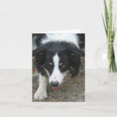 Border Collie Stare Dog gepersonaliseerde notitie Kaart (Voorkant)