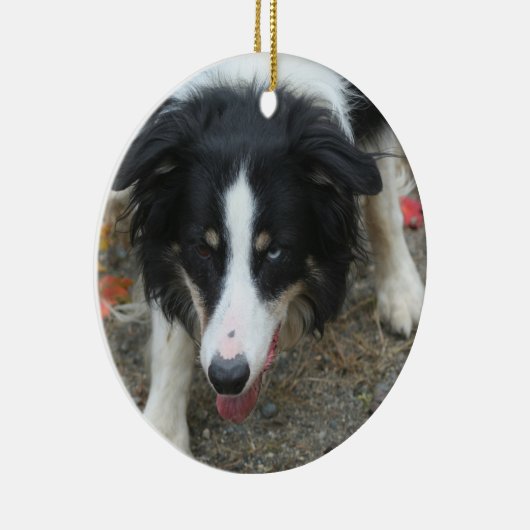 Border Collie Stare Dog Keramisch Ornament (Rechts)