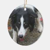 Border Collie Stare Dog Keramisch Ornament (Links)