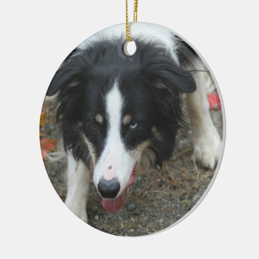Border Collie Stare Dog Keramisch Ornament (Links)