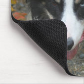 Border Collie Stare Dog Mousepad Muismat (Hoek)