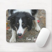 Border Collie Stare Dog Mousepad Muismat (Met muis)
