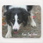Border Collie Stare Dog Mousepad Muismat (Voorkant)