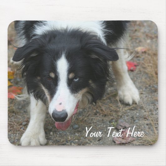 Border Collie Stare Dog Mousepad Muismat (Voorkant)