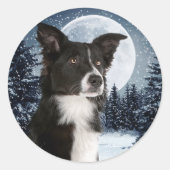 Border Collie Sticker (Voorkant)