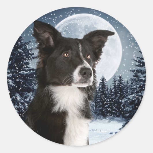 Border Collie Sticker (Voorkant)