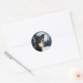 Border Collie Sticker (Envelop)