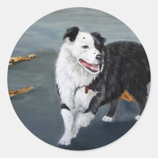 Border Collie Sticker (Voorkant)