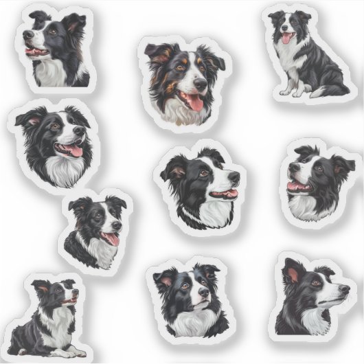 border collie sticker pack (Voorkant)