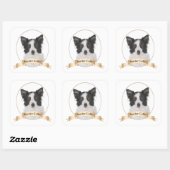 Border Collie Stickers (Vel)