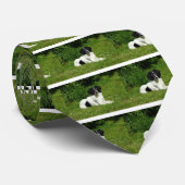 Border Collie Stropdas (Opgerold)