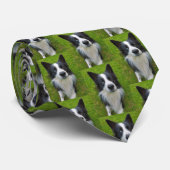 Border Collie Stropdas (Opgerold)