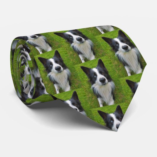 Border Collie Stropdas (Opgerold)