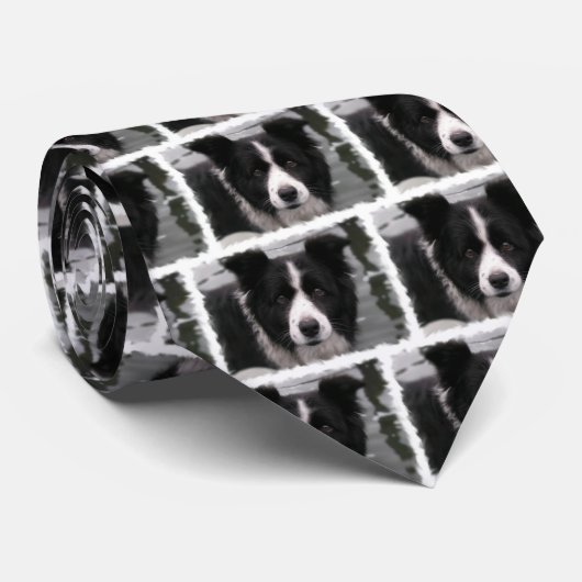 Border Collie Stropdas (Opgerold)