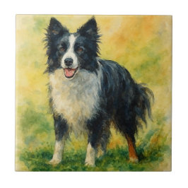 Border Collie Tegeltje