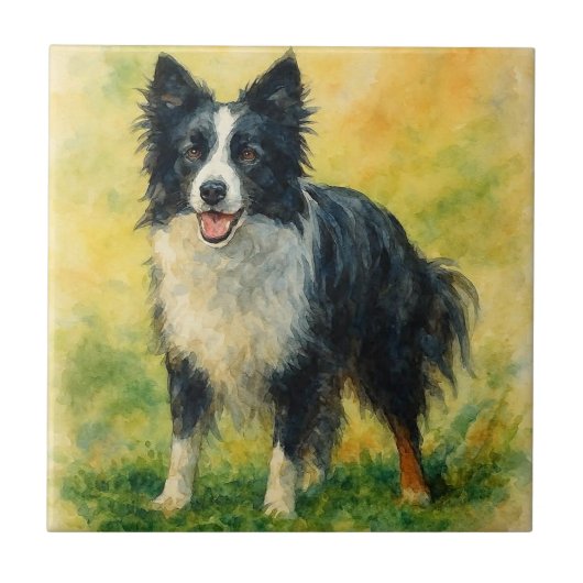 Border Collie Tegeltje (Voorkant)