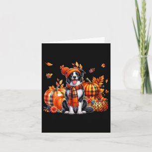 Border Collie Thanksgiving Leopard Pumpkins Herfst Kaart