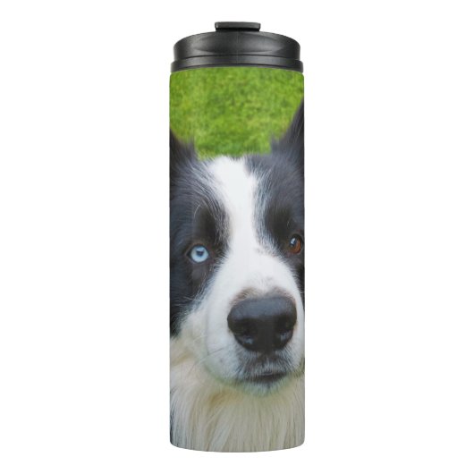 Border Collie Thermosbeker (Voorkant)