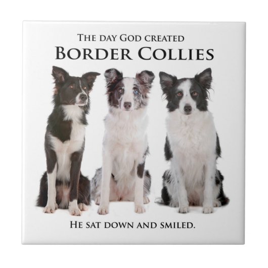 Border Collie Tile Tegeltje (Voorkant)