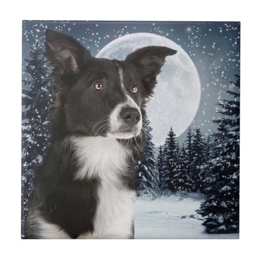 Border Collie Tile Tegeltje (Voorkant)