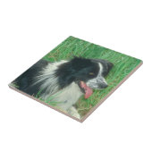 Border Collie Tile Tegeltje (Zijkant)