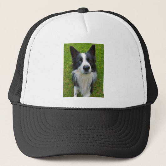 Border Collie Trucker Pet (Voorkant)