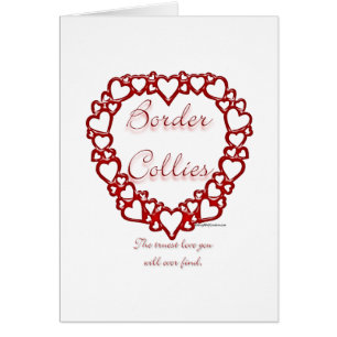 Border Collie True Love