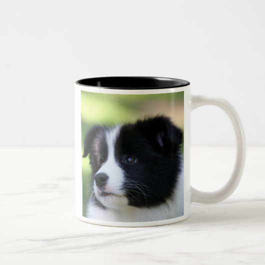 Border Collie Tweekleurige Koffiemok (Rechts)
