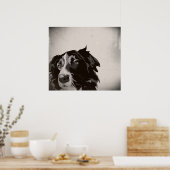 Border Collie urban no. 1 art poster (Keuken)