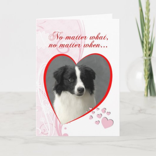 Border collie Valentijn Feestdagen Kaart (Voorkant)