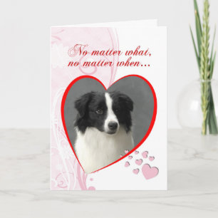 Border collie Valentijn Feestdagen Kaart