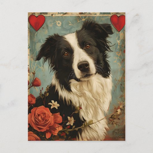 Border Collie Valentijnsdag Briefkaart (Voorkant)