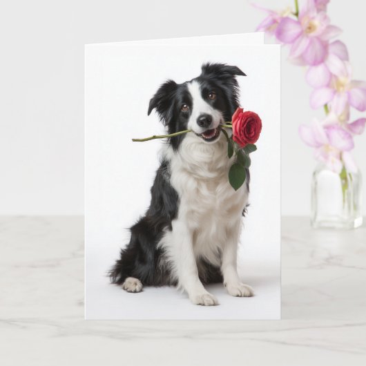 Border Collie Valentine – Toegewijde Hart Kaart (Orchidee)