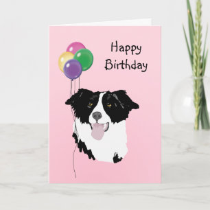 Border Collie, Verjaardagsballonnen Kaart