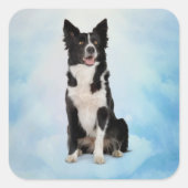 Border Collie Vierkante Sticker (Voorkant)